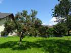 dsc07462_small.jpg
