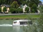 dsc07510_small.jpg