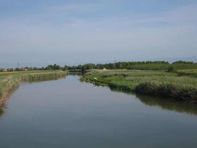 ilgrassagadalpontedifoss.jpg