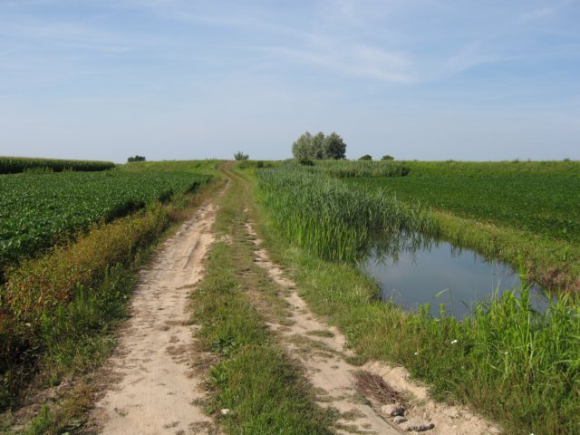 stradadicampagnaneidintornidifoss.jpg