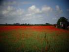 dsc05089_small.jpg