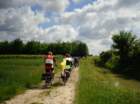 dsc05140_small.jpg