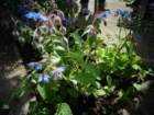 dsc05164_small.jpg