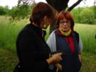 dsc05174_small.jpg