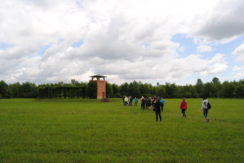 dsc05185a.jpg