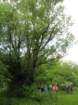 dsc05205b_small.jpg