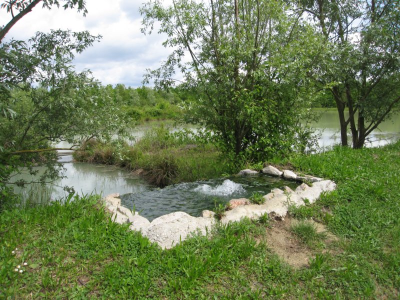dsc05216.jpg