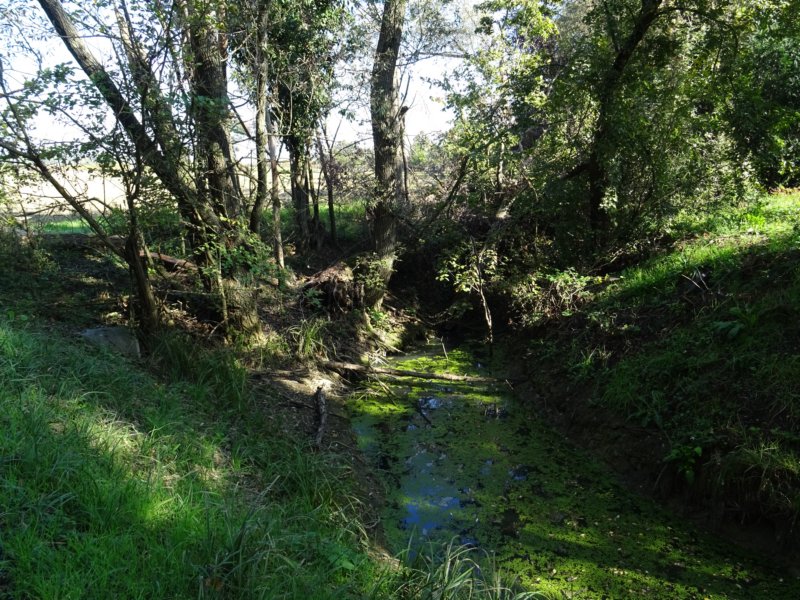 dsc02347.jpg