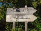 dsc02358_small.jpg