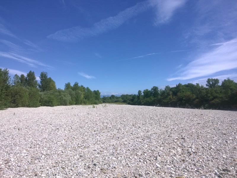 wp_20160717_001.jpg