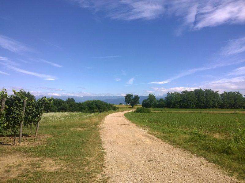 wp_20160717_005.jpg