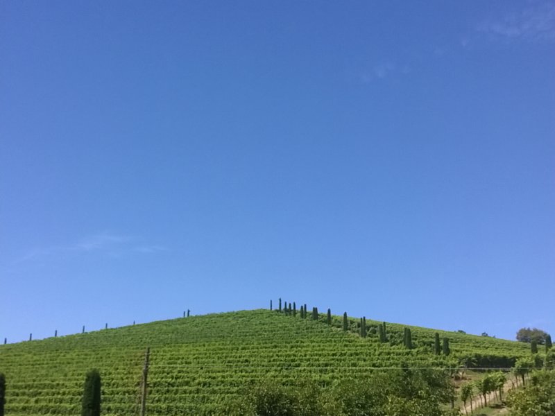 wp_20160717_013.jpg