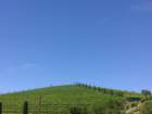 wp_20160717_013_small.jpg