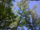 wp_20160717_020_small.jpg