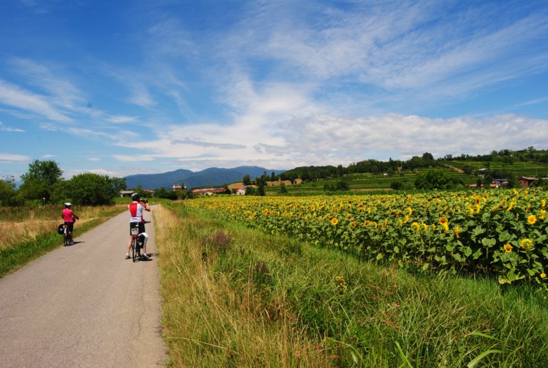 wp_20160717_020a.jpg