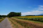 wp_20160717_026b_small.jpg