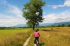 wp_20160717_026c_small.jpg