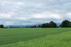 dsc09244a_small.jpg