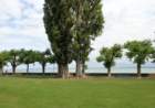 dsc09305_small.jpg