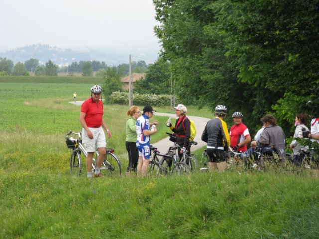 immagine044.jpg