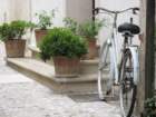immagine092_small.jpg