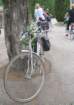 immagine226_small.jpg