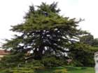 dsc03007_small.jpg
