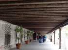 dsc03019_small.jpg