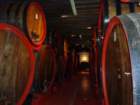dsc03077_small.jpg