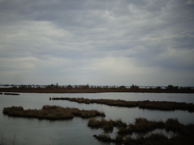 dsc09727.jpg