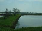 dsc04895_small.jpg