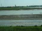 dsc04897_small.jpg
