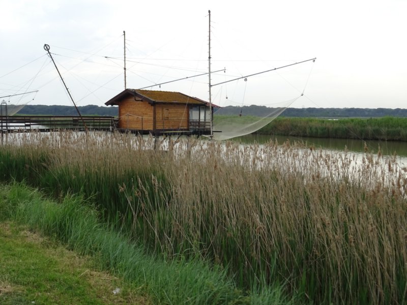 dsc05014.jpg
