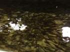 dsc02875_small.jpg