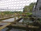 dsc02876_small.jpg