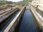 dsc02878_small.jpg