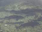 dsc02890_small.jpg
