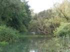 dsc02894_small.jpg