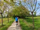 dsc02921_small.jpg