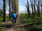 dsc09901_small.jpg