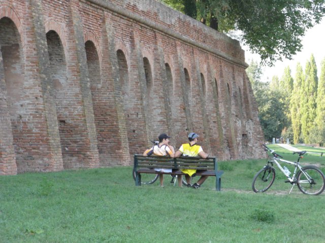 a8.jpg