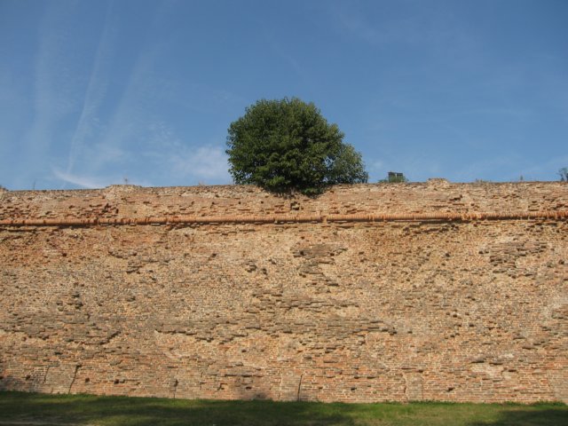 c2.jpg