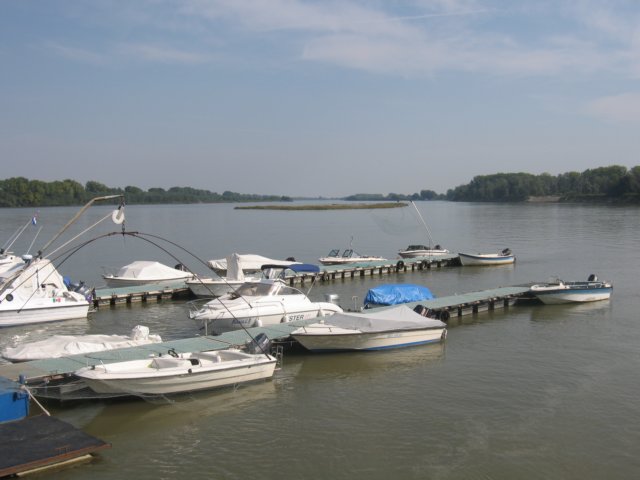photo11.jpg
