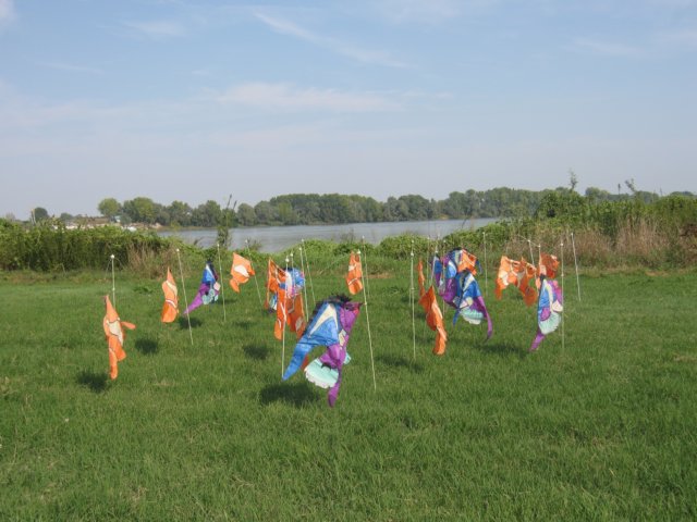 photo14.jpg