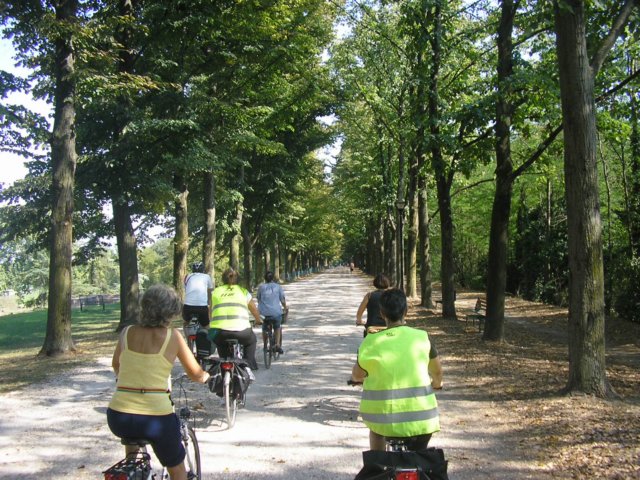 photo33.jpg