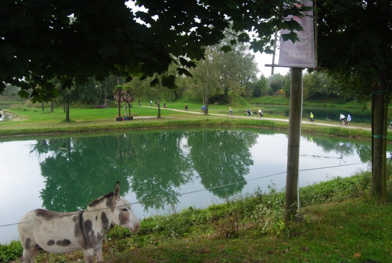 photo10.jpg