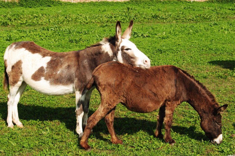 photo48.jpg