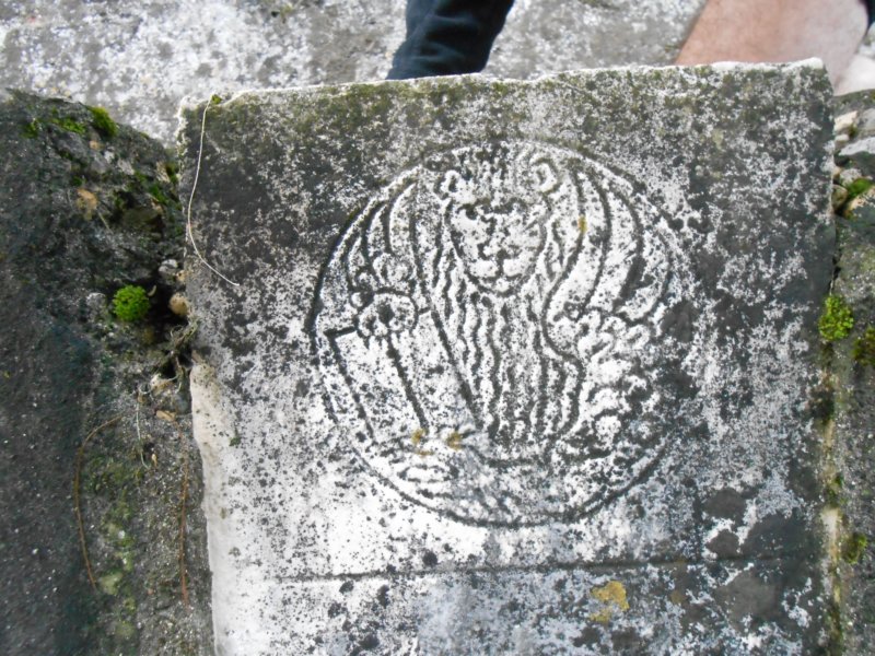 photo7.jpg