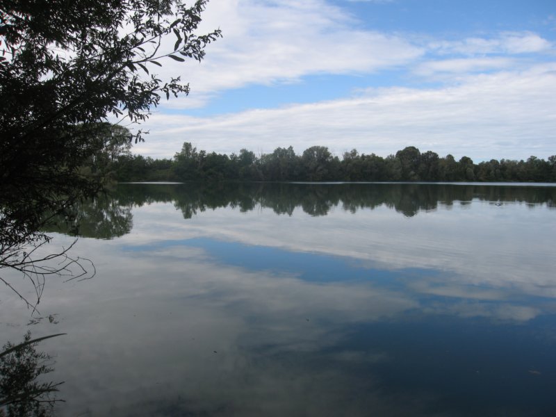 img_1711.jpg