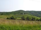 dsc07923_small.jpg